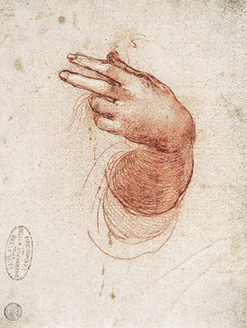 《受胎告知の天使のための左手と腕の研究》画像