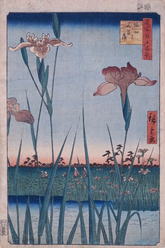 歌川広重画「名所江戸百景 堀切の花菖蒲」（部分） 1857年（安政4）館蔵