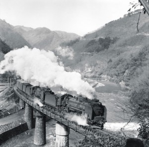 D51形蒸気機関車の牽く貨物列車