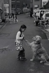 「きずな」